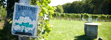 Top 10 U.S. Winery Tours | Wine-Searcher News & Features