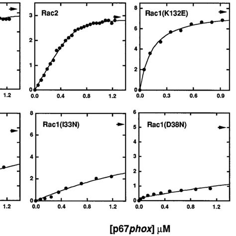 Comparison of binding of Rac1, Rac2, and Rac1 point mutants to p67phox ... 