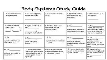 Body Systems Study Guide By Rightbrain Science Tpt