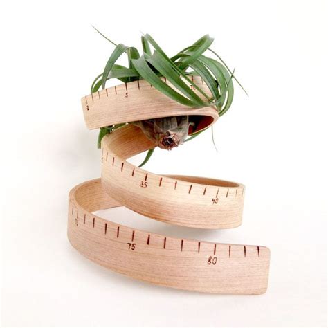 Bent Ruler Plant Bed Bedding Plants House Styles Exposed Beams