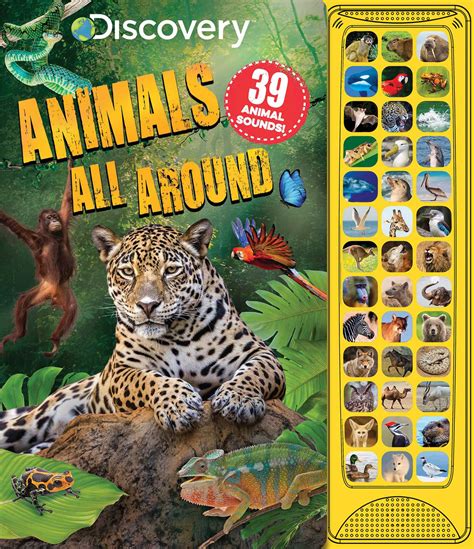 Discovery Animal
