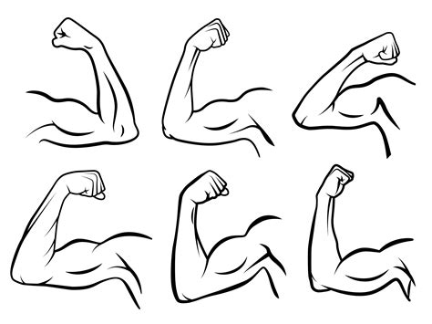 Powerful Hand Muscle Strong Arm Muscles Hard Biceps And Hands