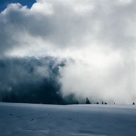 Free Images Tree Mountain Snow Winter Cloud Sky Mist Sunlight