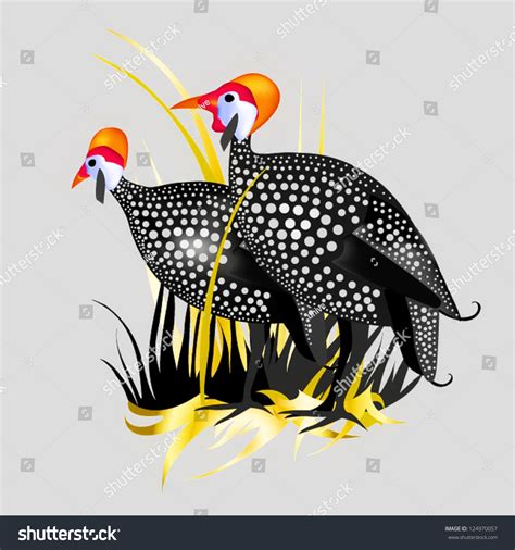 549 Vector Guinea Fowl Illustrations Images Stock Photos And Vectors