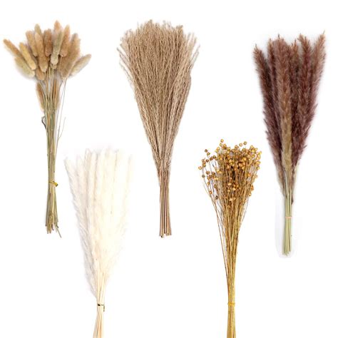 Buy Natural Dried Pampas Grass 90 Stems Assorted Dried Flowers For Vase