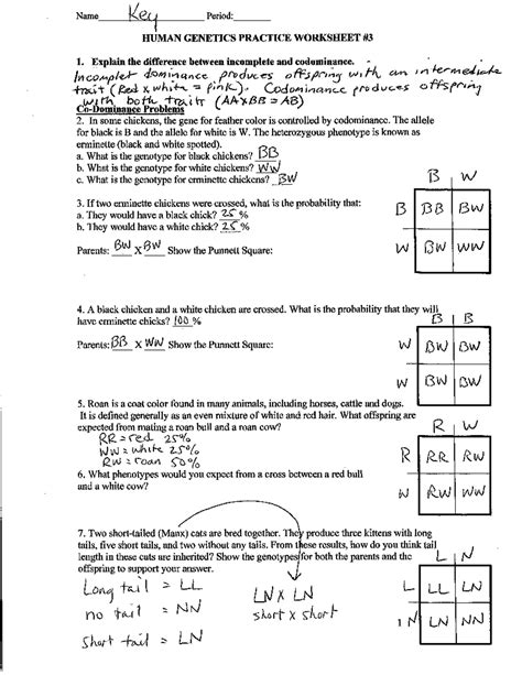 Human Genetics Practice Ws Incomplete Codominant Sex Linked Answer Key Name Key Period