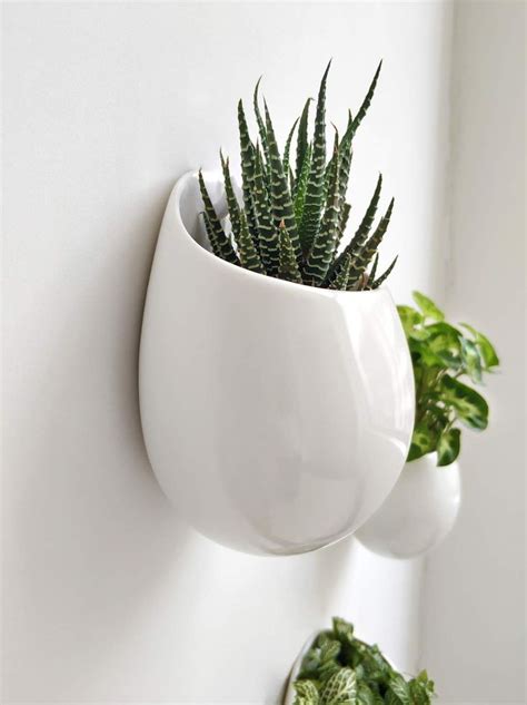 10 Hanging Plant Wall Mount HOMYRACKS