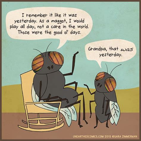 17 Images About Fun Bug Puns On Pinterest Bee Puns Jokes And April