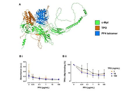 Protein interaction causing rare but deadly vaccine-related clotting found