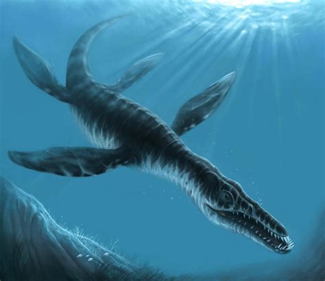 Liopleurodon By Forestmage2583 On Deviantart