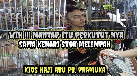 Update Harga Burung Perkutut Dan Kenari Di Kios Haji Abu Pasar Burung