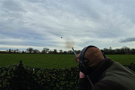 Winter Pigeon Shooting Tactics For Success ShootingUK ShootingUK