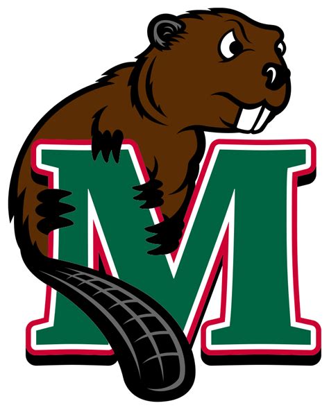 Minot State Beavers Color Codes Hex Rgb And Cmyk Team Color Codes