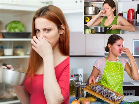 Fishy Smell In Kitchen রান্নাঘর থেকে আঁশটে গন্ধ যাচ্ছে না কিছুতেই এটা