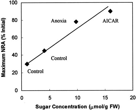 Positive Correlation Between Total Sugar Concentrations In Leaves And