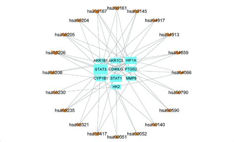 Gene Pathway Network Of Ffxst Against Is This Network Shows The