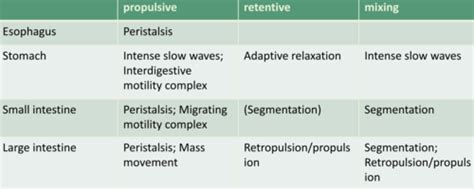 Motility Flashcards Quizlet