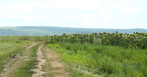 Condi Ii Pentru V Nzarea Terenurilor Agricole Digi