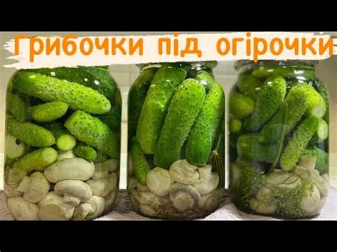 Огірки з грибами. Смачний та простий рецепт консервації - YouTube