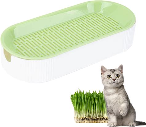 Cat Grass Planter Hydroponic Cat Grass Growing Kit Catnip Wheatgrass