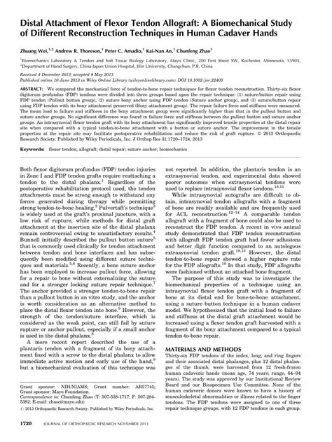 Pdf Distal Attachment Of Flexor Tendon Allograft A Biomechanical