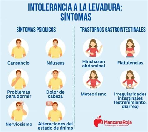 Intolerancias Alimentarias Qu Son C Mo Reconocerlas Qu Pruebas