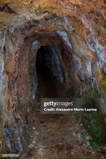 Animals That Live In Caves Photos And Premium High Res Pictures Getty