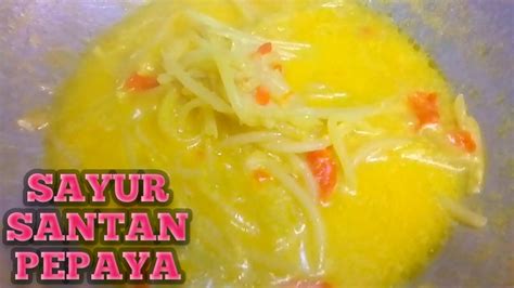 Resep Sayur Pepaya Muda Santan Youtube