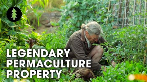 Legendary Australian Permaculture Garden Tour David Holmgren Su