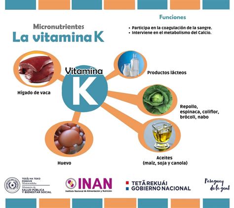 Es Importante Conocer Las Vitaminas Inan