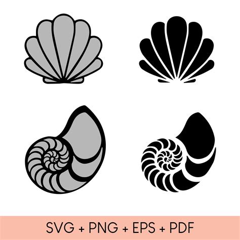 Sea Shell Svg Shell Svg Fossil Svg Ocean Svg Fish Svg Etsy