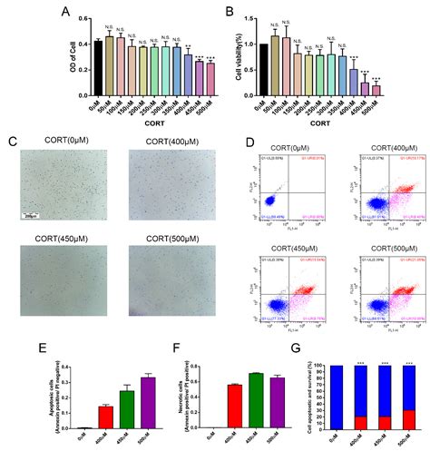 Cells Free Full Text Cortisol Excess Mediated Mitochondrial Damage