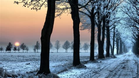 Fondos De Pantalla Luz De Sol Rboles Bosque Naturaleza Nieve