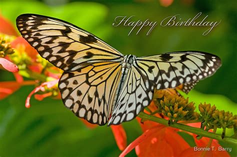 Happy Birthday Butterfly By Bonnie T Barry Redbubble