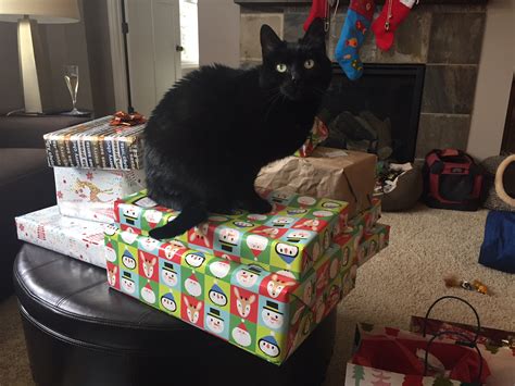 Boofus knew it was Christmas