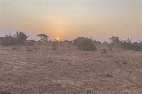 Malindi Jours Tsavo Est Collines Taita Lodge Saltlick Au D Part