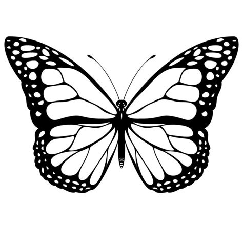 Butterfly Design Drawing at GetDrawings | Free download