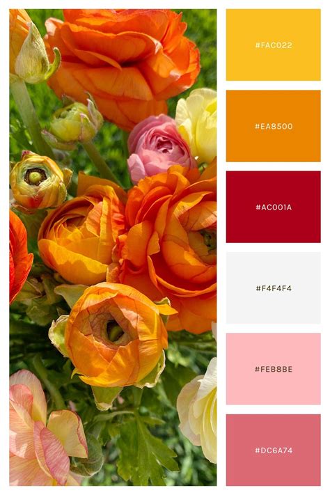 15 Spring Color Palettes For Your Brand — Samantha Madeo Design