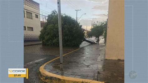 Chuva Derruba árvores Em Mococa E Causa Transtornos A Moradores São