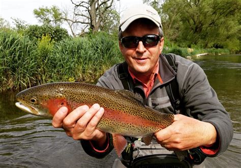 Pennsylvania Trico Hatch Spruce Creek PA Fly Fishing Trout Haven