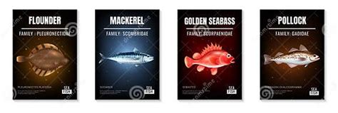 Sea Fish Realistic Poster Set With Different Species Symbols Isolated