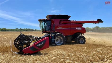 CASE IH 8250 Combines Harvesting Wheat YouTube