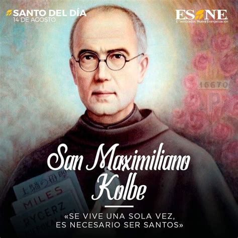 Pin en Imágenes religiosas en 2024 San maximiliano maria kolbe