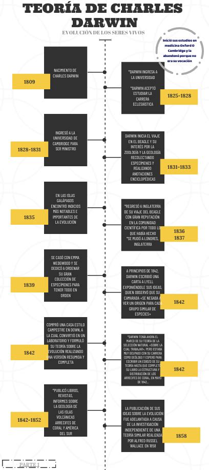 Timeline Infographic Infographic Maker Free Infographic Charles