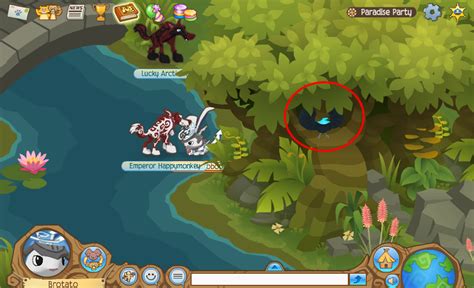 Totes Rock Animal Jam Cheats Paradise Party For Those Who Play