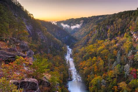 Best Campgrounds In Georgia Mountains | The Woodland Group