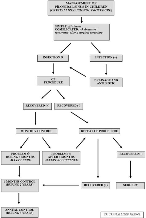 Treatment algorithm of crystallized phenol procedure in pilonidal sinus ...