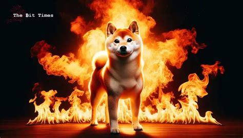 Shiba Inu Shib Burn Rate Spikes Will Price Follow