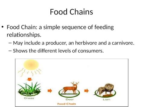 Ppt Food Chains Food Chain A Simple Sequence Of Feeding