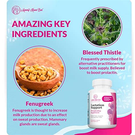 Blessed Thistle Fenugreek Capsules Lactation Supplements For